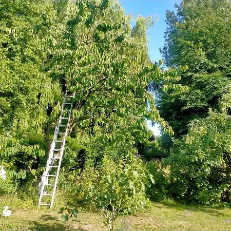 La Maison De Claudine * Bergues